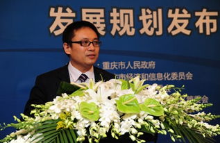 重慶軟件服務外包業規劃布局，劍指行業三甲寶座