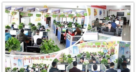 西南領先的一站式數字服務 重慶四模建站、全網推廣與軟件開發解決方案