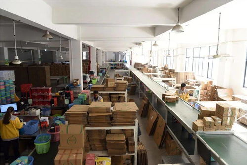 臨安工廠備戰(zhàn)雙十一 生產(chǎn)不停、分倉不歇的緊張有序圖景