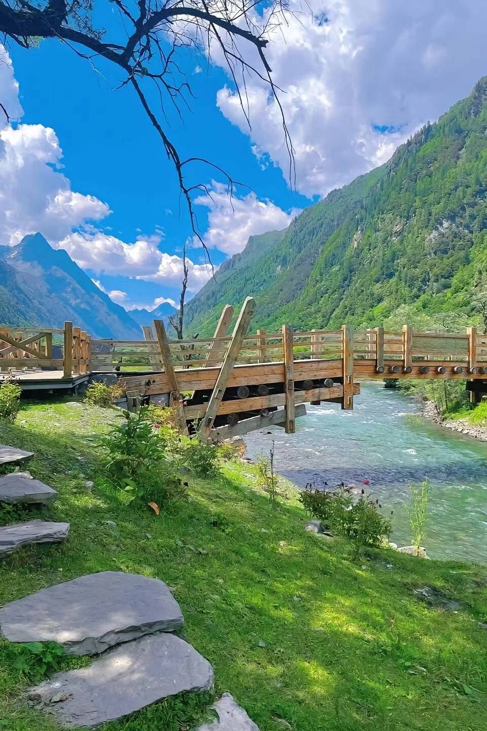 廈門至四川旅游報(bào)團(tuán)價(jià)格全解析 團(tuán)費(fèi)多少？魅力旅行如何不踩坑？